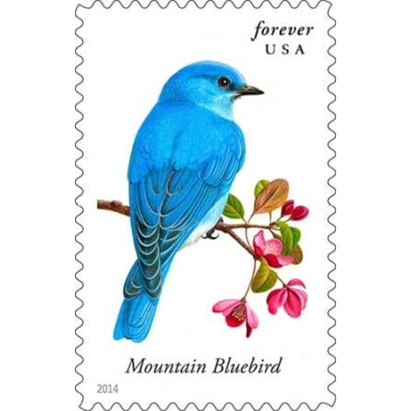 Mountain Bluebird Canvas Art - US POSTAL SERVICE (24 x 36)