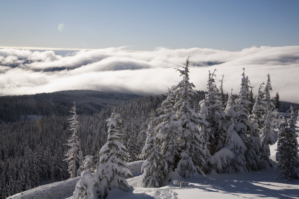 Mountain During Winter Canvas Art - Craig Tuttle Design Pics (19 x 12)