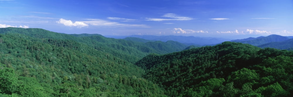 Mountain Fall Creek Falls State Park Pikeville Bledsoe County Tennessee USA Canvas Art - Panoramic Images (36 x 12)