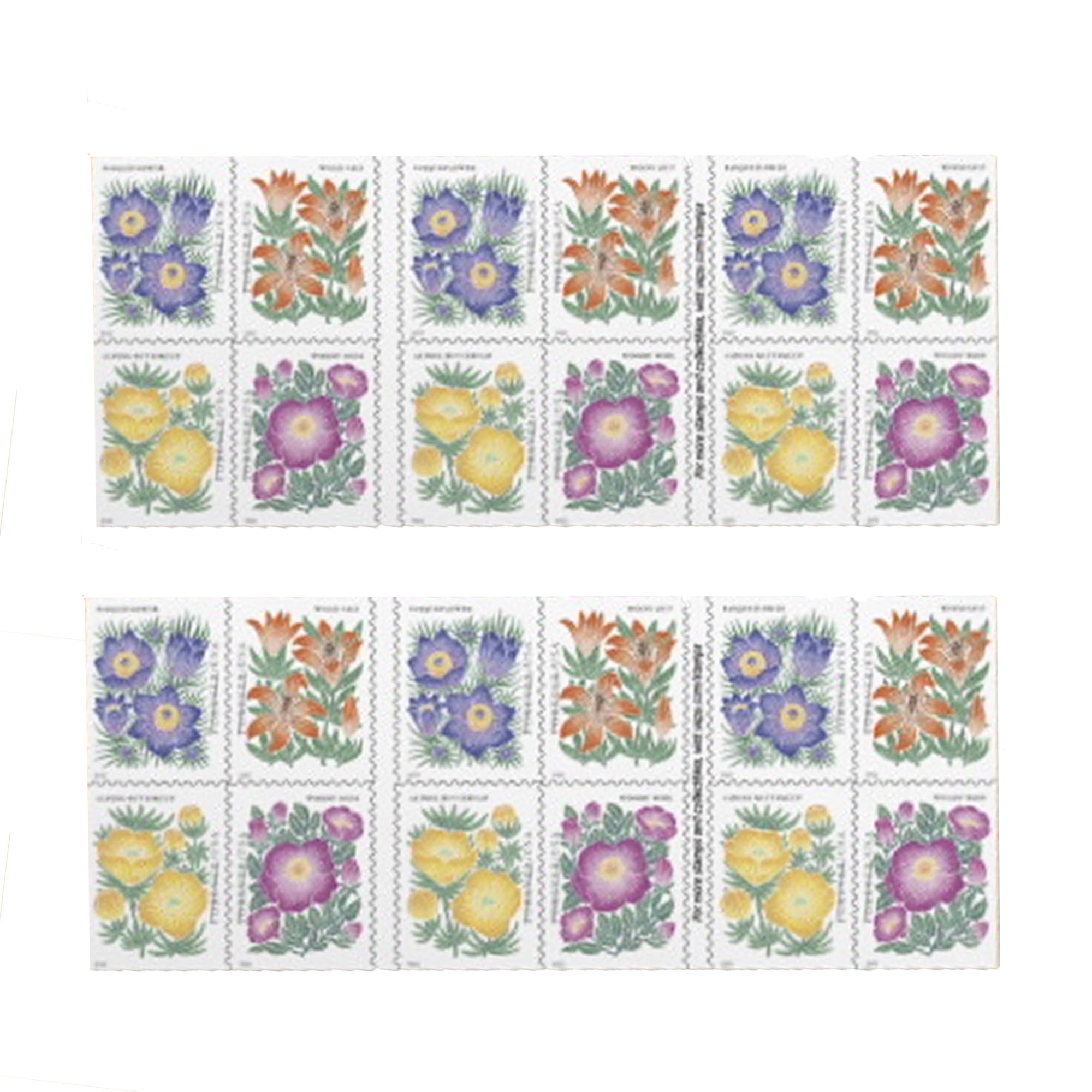 Mountain Flora USPS Forever Postage Stamp 1 Book of 20 US First Class  Wedding Celebration Anniversary Flower Party (20 Stamps)