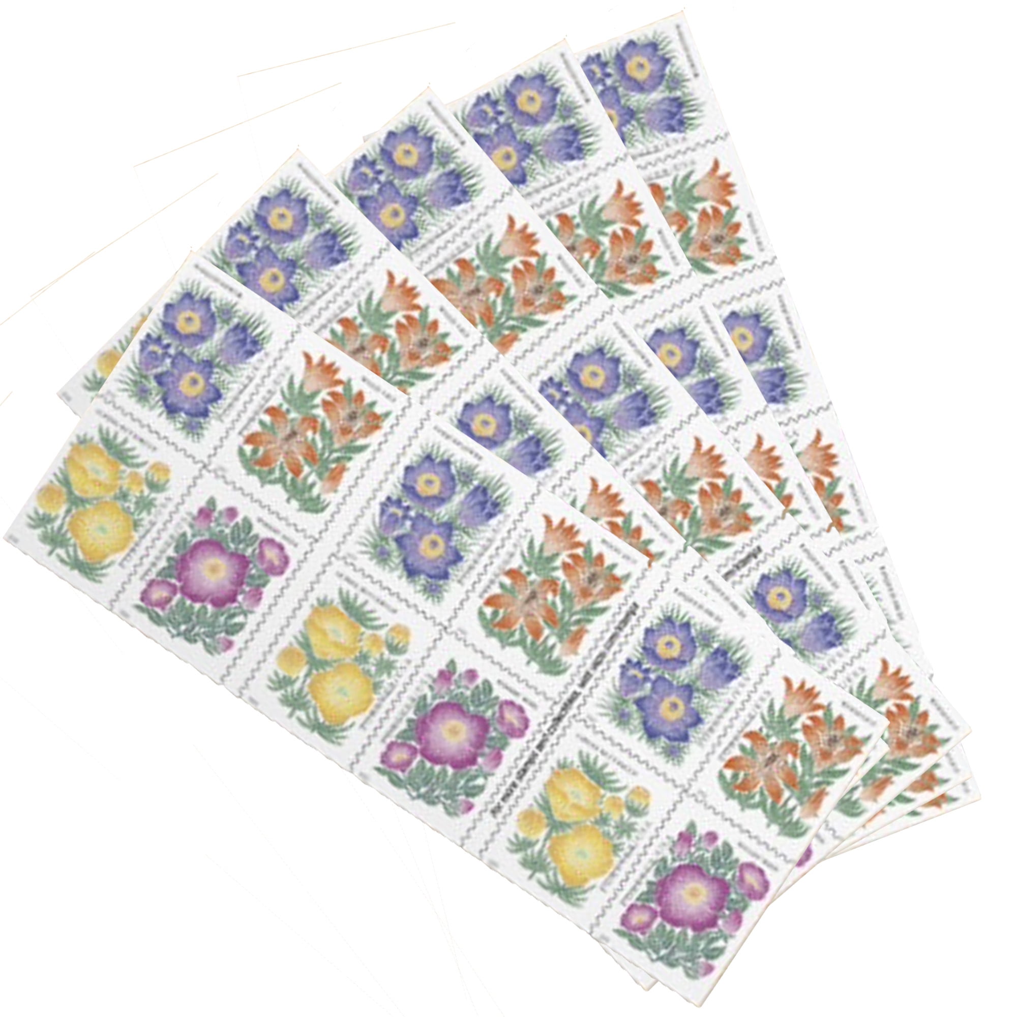 Tulip Blossoms USPS Forever Postage Stamp 1 Book of 20 US First Class  Postal Flower Spring Wedding Holiday Celebrate Announcement Party (20 Stamps)  