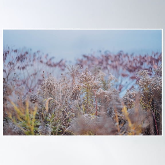 Mountain Flowers Poster Wall Art, Modern Wall Decor, 8x12 UNFRAMED