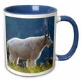 thumbnail image 1 of 3drose, Mountain Goat, Waterton Glacier Peace Park - Us27 Rkl0008 - Raymond Klass, 15oz Two-tone Blue Mug, 1 of 6