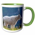 thumbnail image 1 of 3drose, Mountain Goat, Waterton Glacier Peace Park - Us27 Rkl0008 - Raymond Klass, 15oz Two-tone Green Mug, 1 of 6