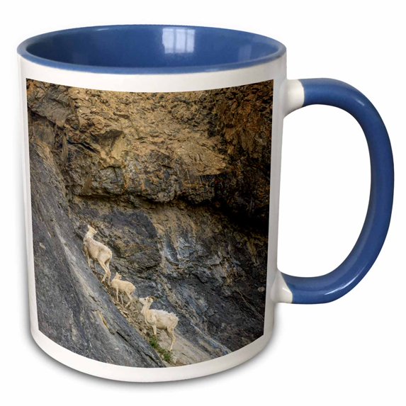 3drose, Mountain Goats, Arctic Wildlife Refuge, Alaska, Usa - Us02 Tno0025 - Tom Norring, 11oz Two-tone Blue Mug