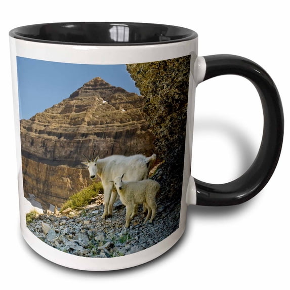 3drose, Mountain Goats, Uinta-wasatch-cache Nf, Utah - Us45 Hga0260 - Howie Garber, 11oz Two-tone Black Mug