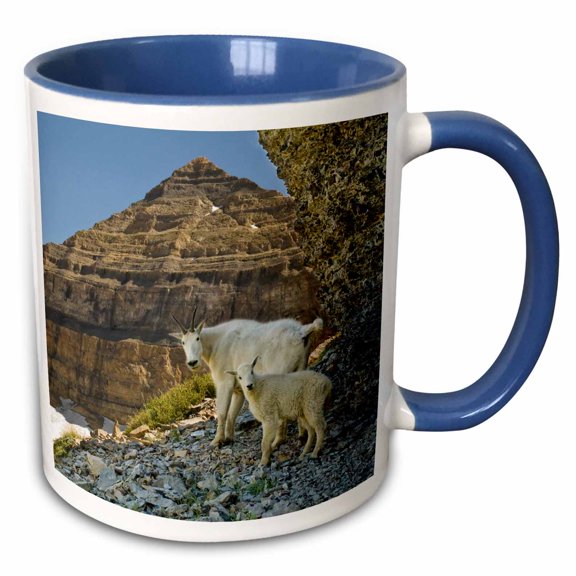 3drose, Mountain Goats, Uinta-wasatch-cache Nf, Utah - Us45 Hga0260 - Howie Garber, 11oz Two-tone Blue Mug