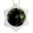 thumbnail image 1 of 3drose, Mountain Gorilla Baby, Rwanda-af35 Ksc0000 - Kevin Schafer, 3 inch Snowflake Porcelain Ornament, 1 of 7