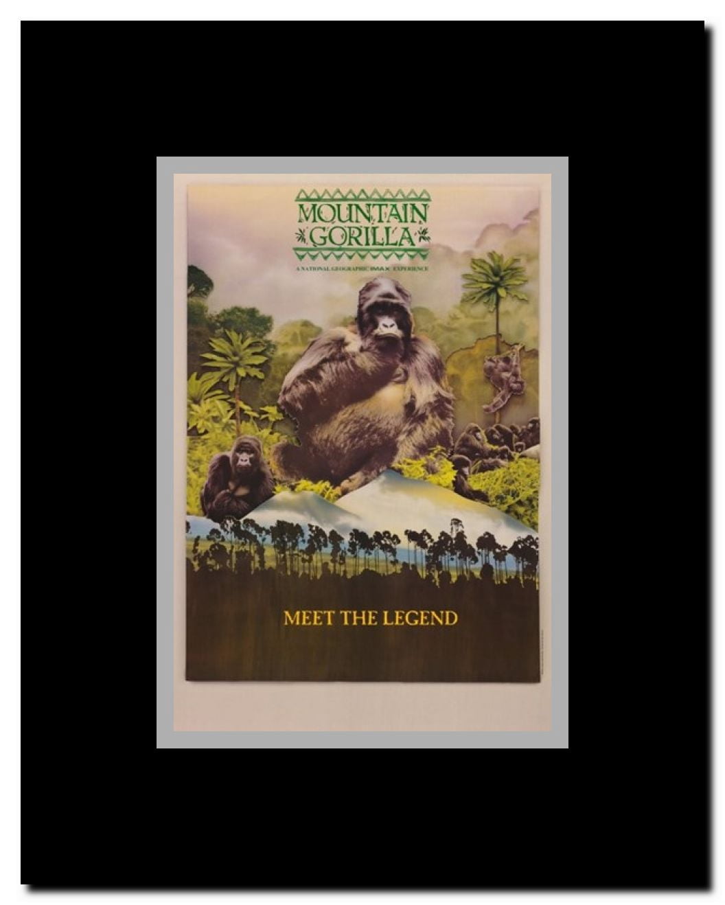 Mountain Gorilla (IMAX) Framed Movie Poster