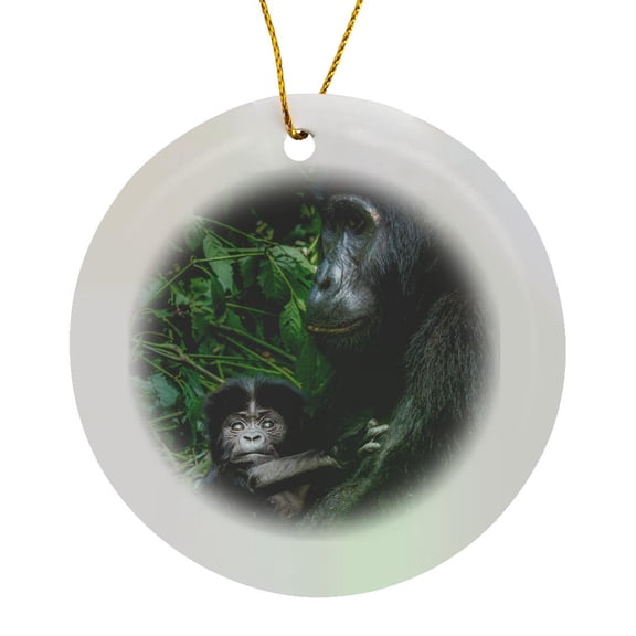 3drose, Mountain Gorilla with Baby. Bwindi Impenetrable Forest. Uganda, Circle Porcelain Ornament