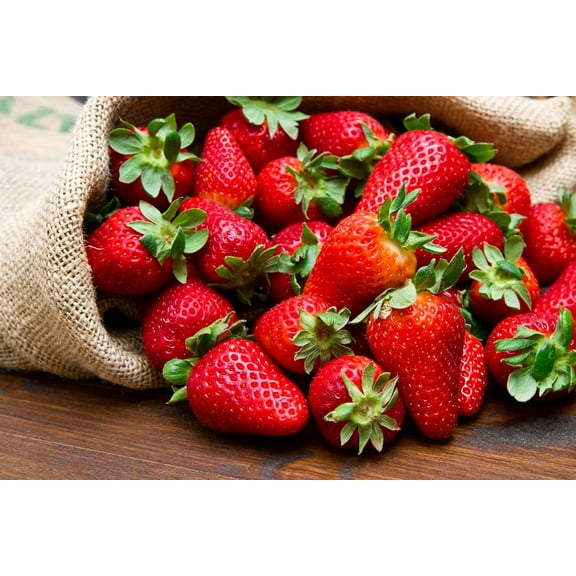 Mountain Jewels Strawberry Plants - Grow Giant Strawberries - Bare Root Plants for Growing (10 Plants)