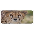 thumbnail image 1 of Mountain Kitchen Mat, Spring Scenery in Alps with Floral Grass and Snowy Mountain Tops in Rural Village, Plush Decorative Kitchen Mat with Non Slip Backing, 47" X 19", Multicolor, by Ambesonne, 1 of 1