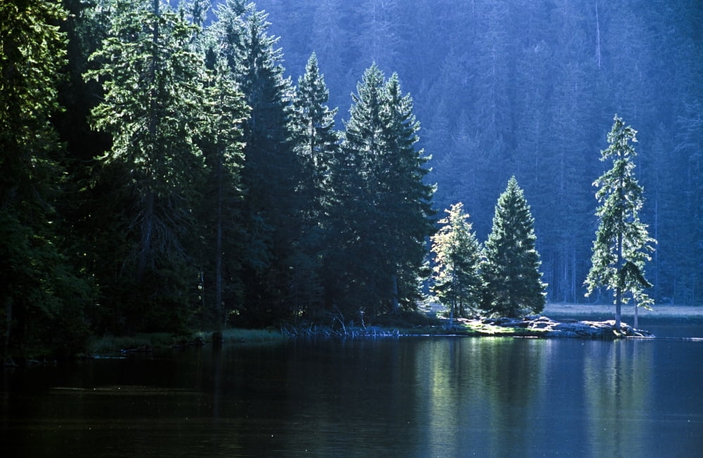 Mountain Lake In Arbersee Germany Canvas Art - John Doornkamp Design Pics (38 x 24)