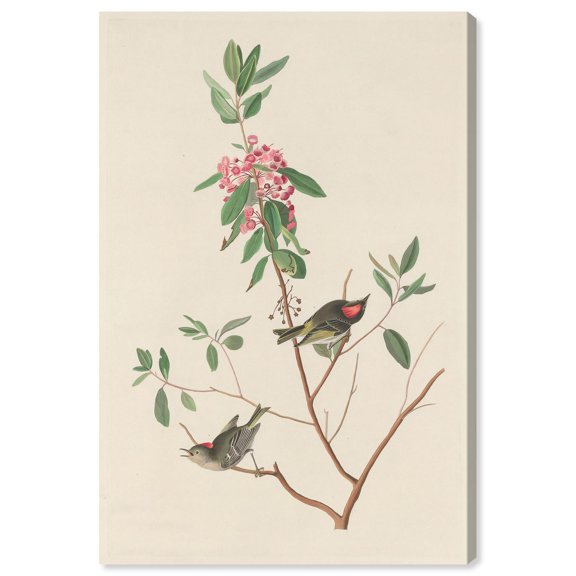 Mountain Laurel Canvas Print Botanical Art by Art Remedy, Gallery Wrapped, 36 x 54