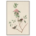thumbnail image 1 of Mountain Laurel Canvas Print Botanical Art by Art Remedy, Silver Frame, 30 x 45, 1 of 6