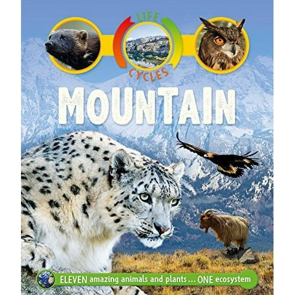 Mountain (Life Cycles)