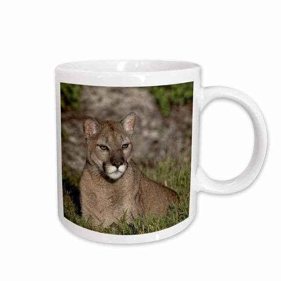 3drose, Mountain Lion, Aka Puma or Cougar, 15oz Mug
