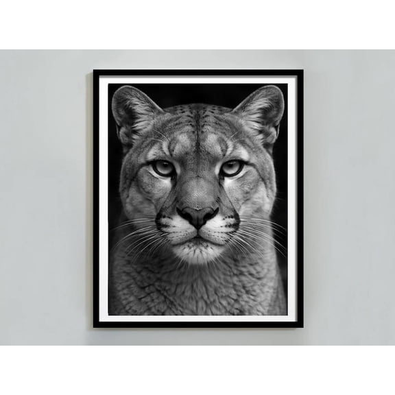 Mountain Lion Black and White Wildlife Portrait – Vintage Style Wall Art – 8x12 – UNFRAMED