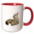 thumbnail image 1 of 3drose, Mountain Lion Cat, 11oz Two-tone Red Mug, 1 of 6