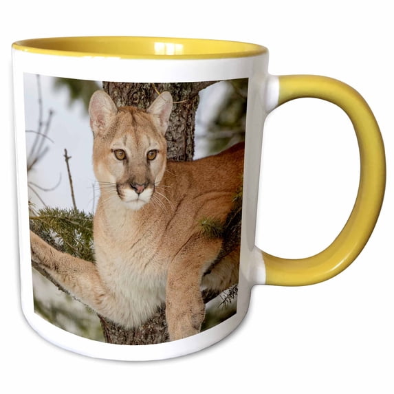 3drose, Mountain Lion in Tree, Captive, Montana. Puma Concolor, 15oz Two-tone Yellow Mug