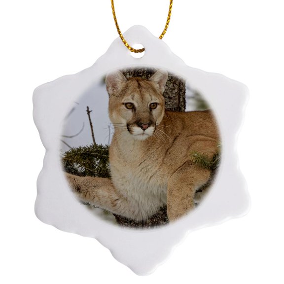 3drose, Mountain Lion in Tree, Captive, Montana. Puma Concolor, 3 inch Snowflake Porcelain Ornament