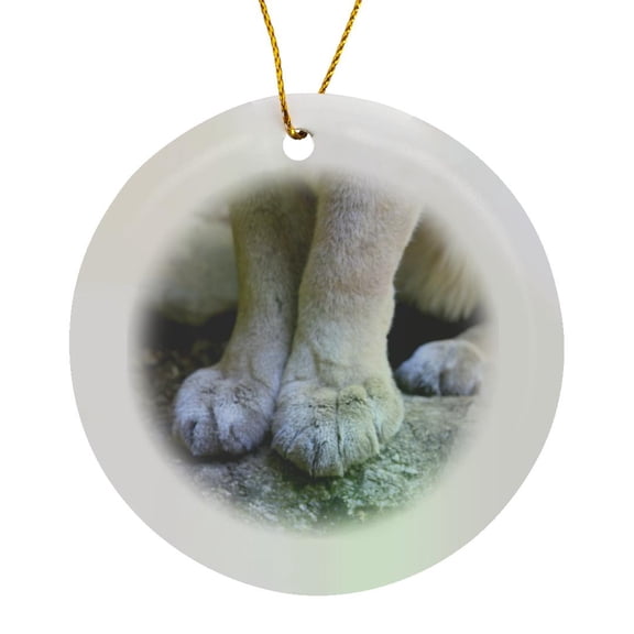 3drose, Mountain Lion Paws Close Up, Circle Porcelain Ornament
