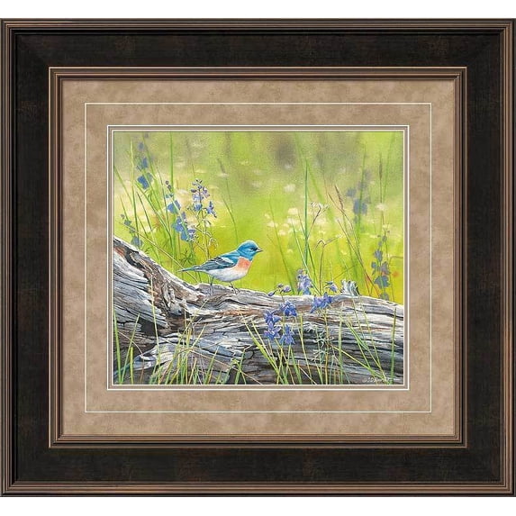 Mountain Meadow—Lazuli Bunting
