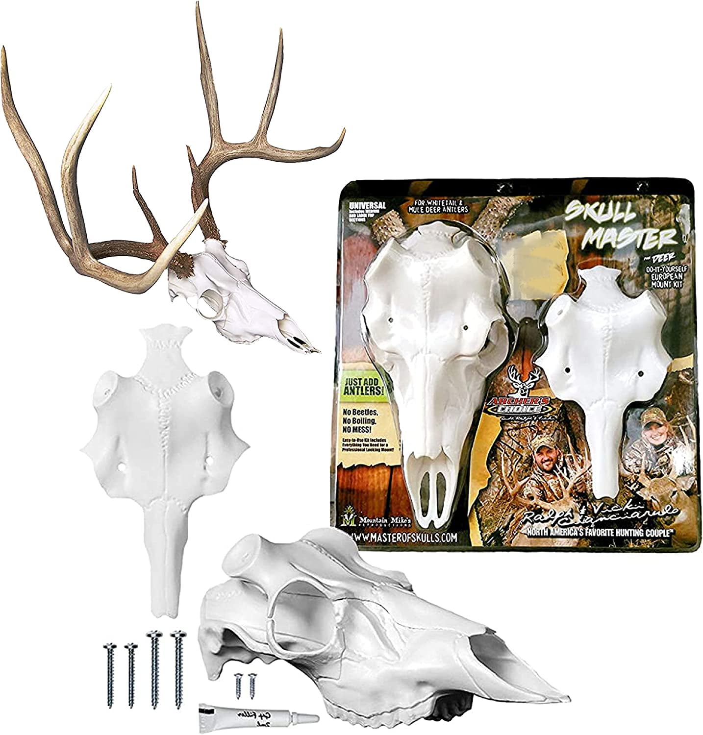 Mountain Mike's Buck Deer European Hunting Head: Universal Antler