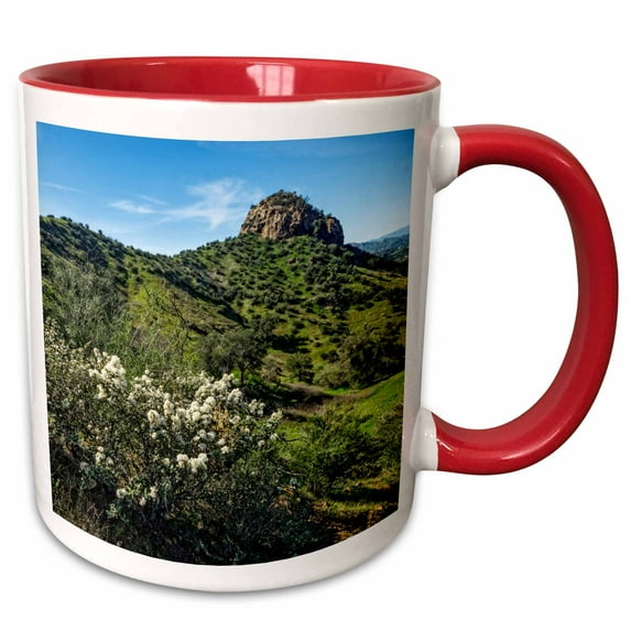 3drose, Mountain Peak and Flowers, 11oz Two-tone Red Mug
