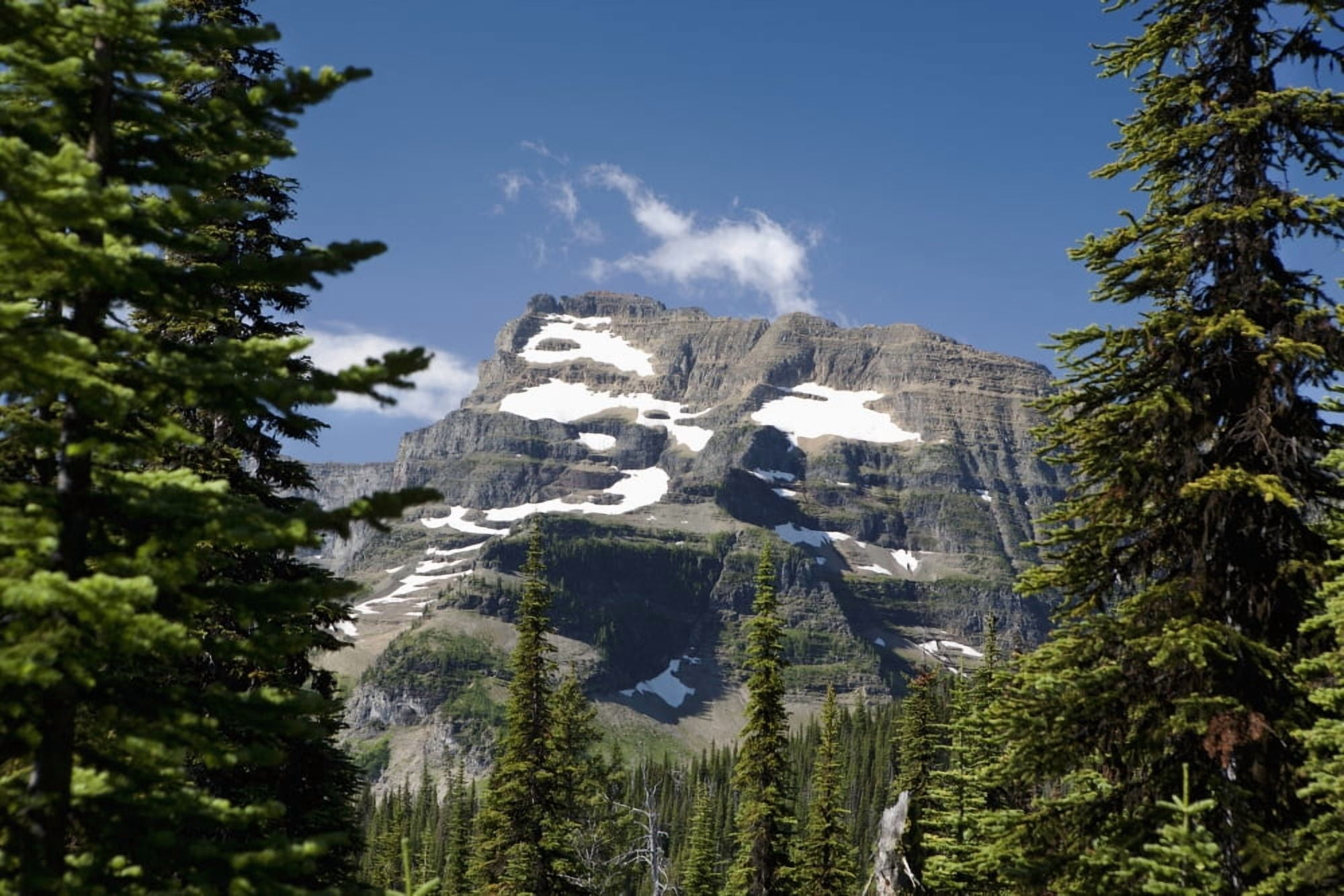 Mountain Peak Framed Between Trees Under A Blue Sky Waterton Alberta Canada Canvas Art - Michael Interisano Design Pics (19 x 12)