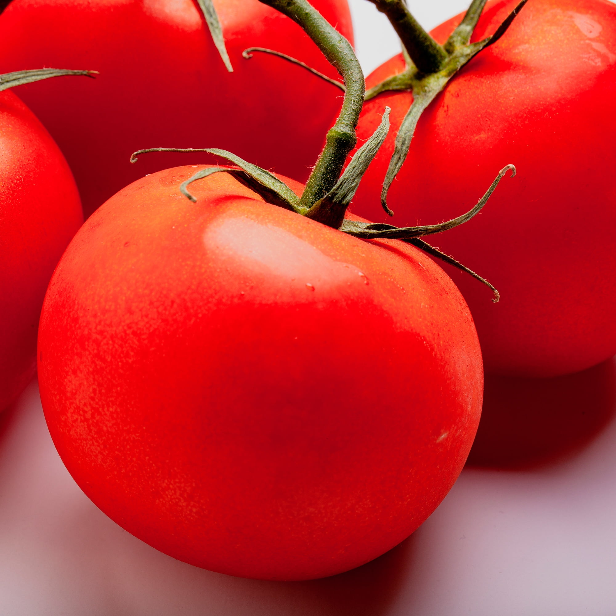 Mountain Pride F1 Hybrid Tomato Seeds - 250 g Packet ~60 Seeds - Non-GMO, Hybrid Vegetable Garden Seeds - High Altitude, Determinate