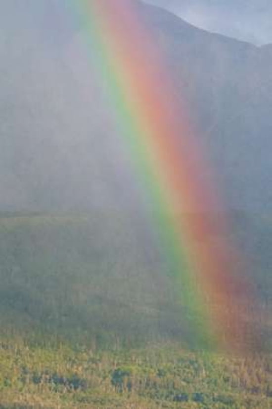 Mountain Rainbow Canvas Art - Roberta Murray (24 x 36)