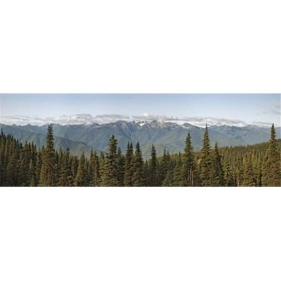 Mountain Range Olympic Mountains Hurricane Ridge Olympic National Park Washington State USA Poster Print 18 x 6
