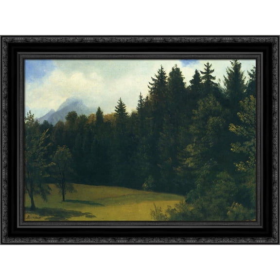 Mountain Resort 24x20 Black Ornate Wood Framed Canvas Art by Bierstadt, Albert