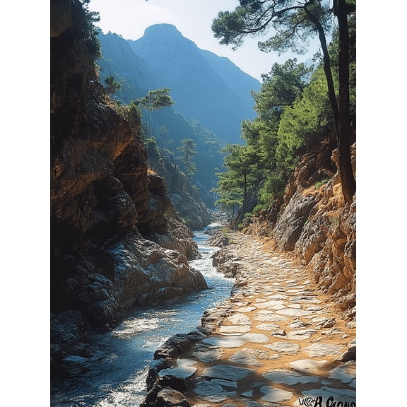 Mountain River Stone Path Canvas Prints/Wall Art Suitable for Living Room Bathroom and Hotel Decoration