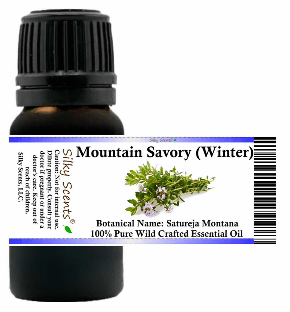 Mountain Savory Winter Wild Crafted Essential Oil 15 ml (1/2 fl oz) - 100% Pure and Natural by Silky Scents