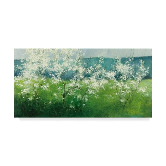 Mountain Spring' Canvas Art by Julia Purinton