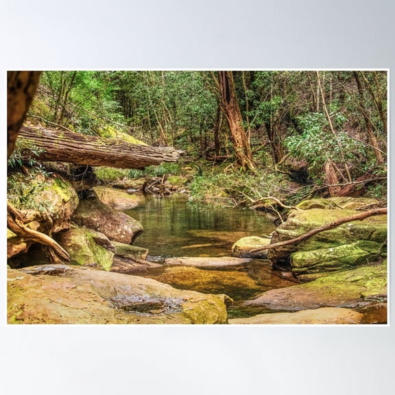 Mountain Steam Poster Wall Art, Modern Wall Decor, 8x12 UNFRAMED