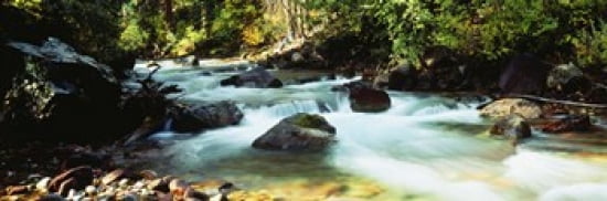Mountain Stream CO USA Canvas Art - Panoramic Images (36 x 12)