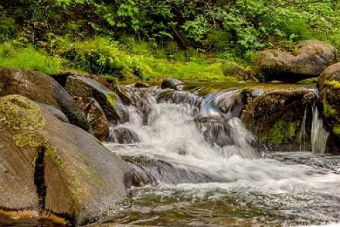 Mountain Stream Canvas Art - Ramona Murdock (12 x 18)