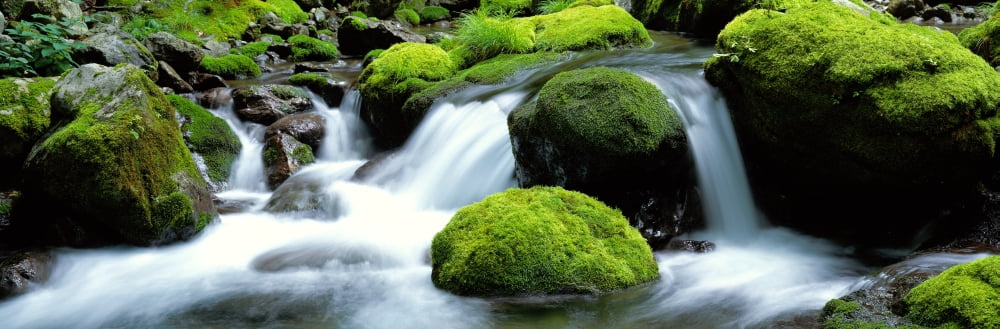 Mountain Stream Kyoto Japan Canvas Art - Panoramic Images (36 x 12)