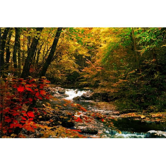 Mountain Stream Poster Print by Jerome Andrews - 26 x 18 in.