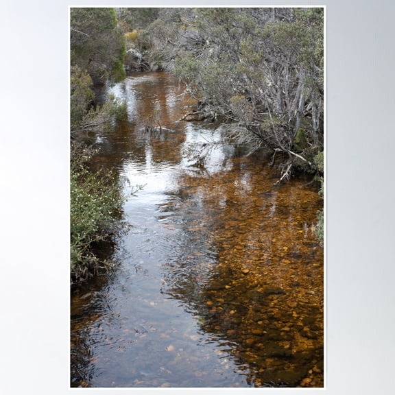 Mountain Stream Poster Wall Art, Modern Wall Decor, 8x12 UNFRAMED
