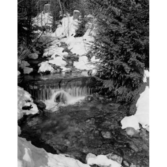 Mountain Stream in Spring Poster Print - 18 x 24 in.