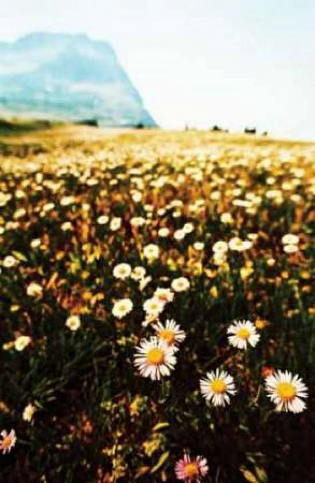 Mountain Summer I Canvas Art - Erin Berzel (12 x 18)