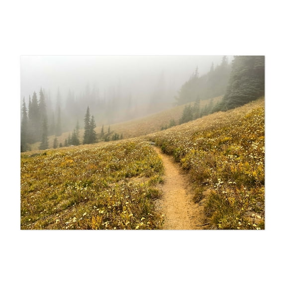 Mountain Trails 4 - Washington Photography Nature Landscape Wilderness Autumn Forest Scenic Unframed Wall Art Print 32 x 48 inches