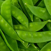Oregon Sugar Pod II Snow Pea Garden Seeds - 1 Lbs - Non-GMO, Heirloom Vegetable Gardening Seed