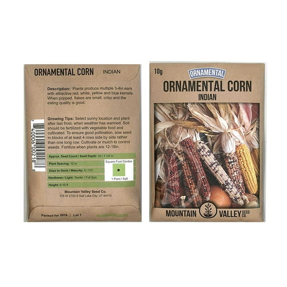 Mountain Valley Seed Company 385 Ornamental Indian Corn Plant Seeds, Non-GMO