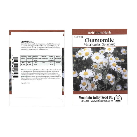 German Chamomile Herb Garden Seeds - 500 Mg Packet - Non-GMO, Heirloom Herbal Gardening & Microgreens - Matricaria recutita