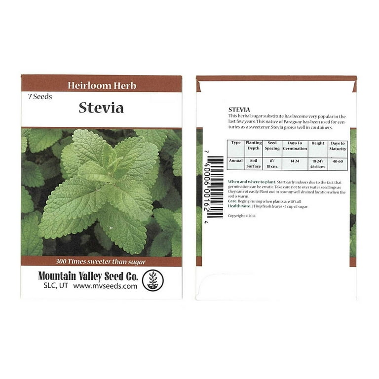 Stevia Sweet Herb Plant Seeds - 7 Seed Packet - Non-GMO, Heirloom Herbal Garden Seeds Stevia Sweet Herb Plant Seeds - 7 Seed Packet - Non-GMO, Heirloom Herbal Garden Seeds